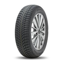 Roadstone Winguard SnowG WH2 195/60R16 89H